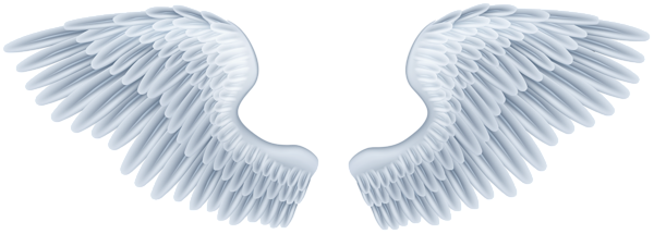 Pale Blue Feathered Angel Wings Pair