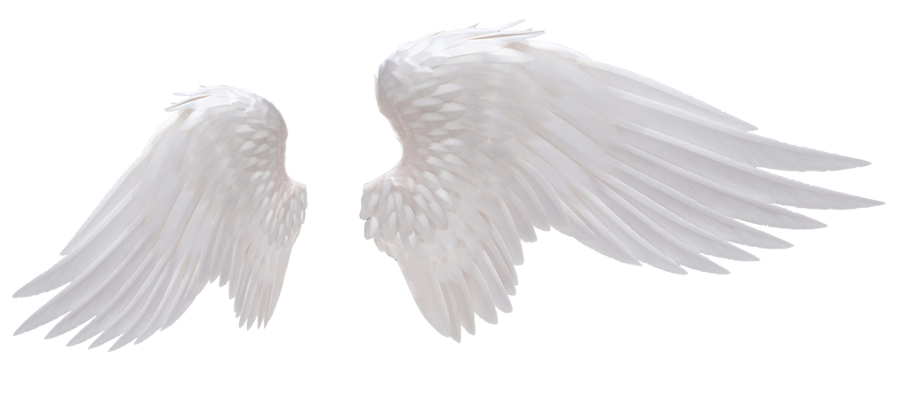 Pair of Soft White Angel Wings