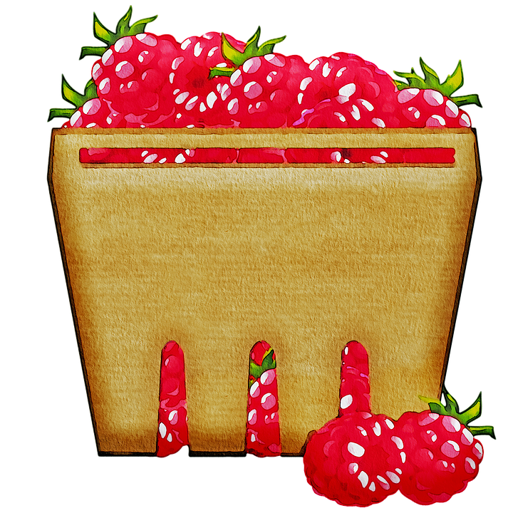 Watercolor Raspberry Basket with Green Leaves