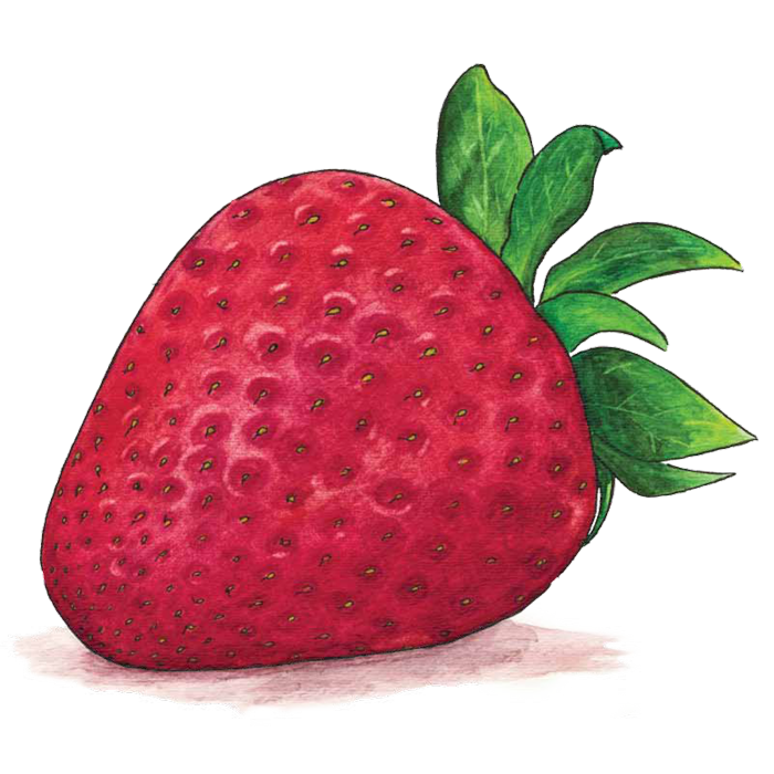 Painted Red Strawberry with Green Leaves