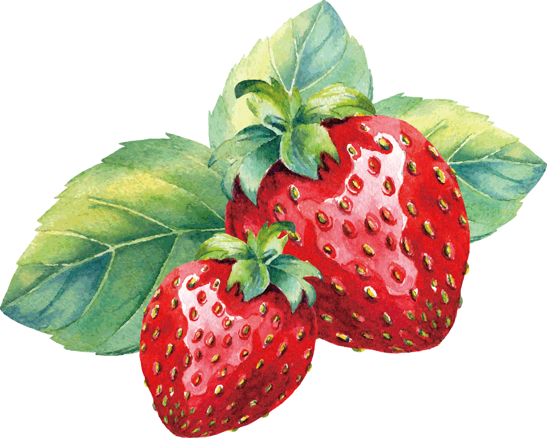 Watercolor Strawberries with Green Leaves