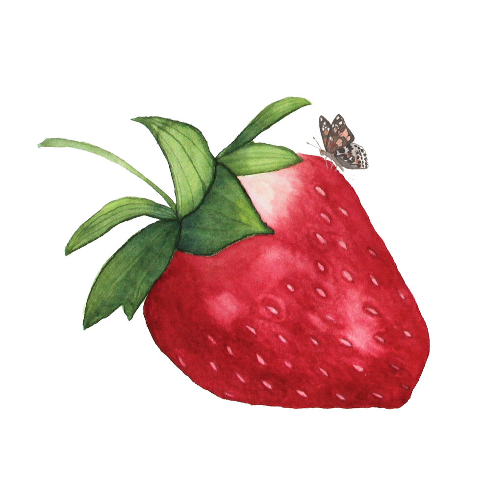 Watercolor Strawberry with Green Leaves and Butterfly