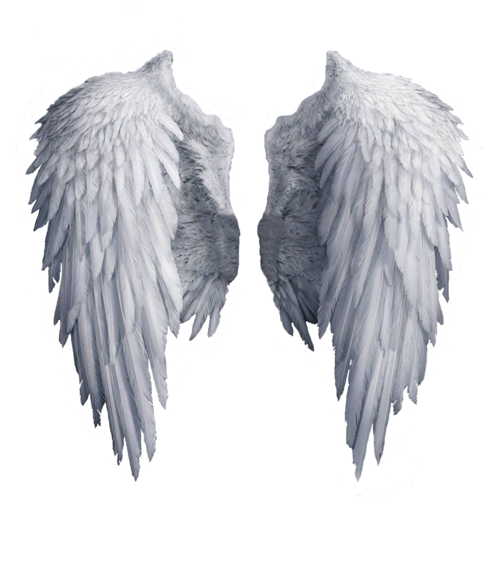 Pair of White Feathered Angel Wings