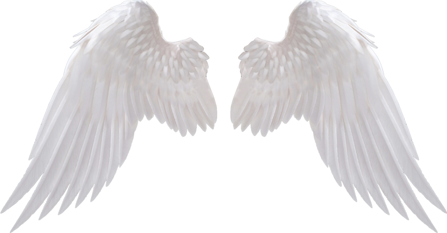 Pair of White Feathered Angel Wings