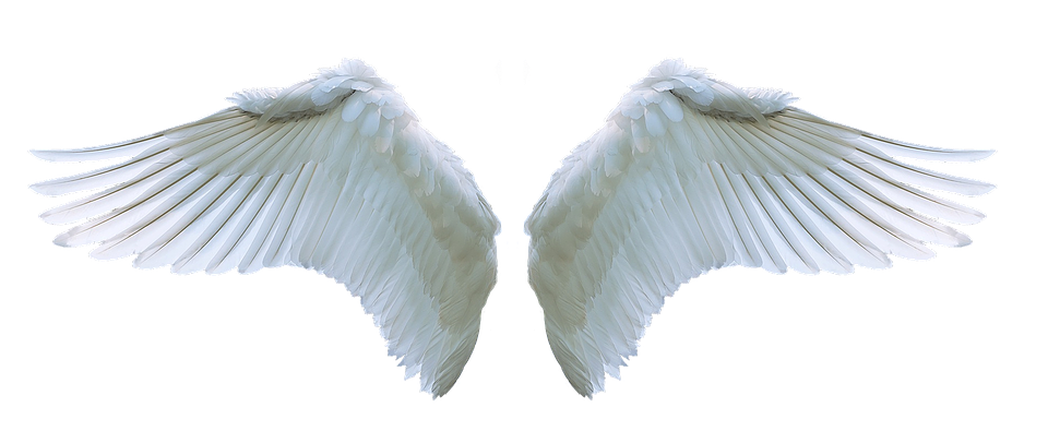White Feathered Angel Wings Pair