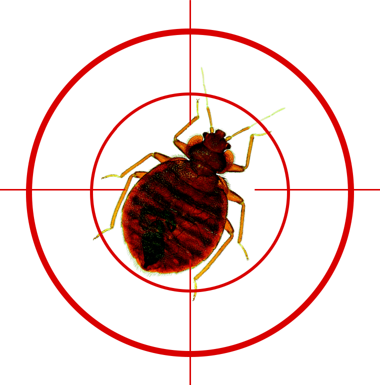 Brown Bed Bug with Red Target Crosshair