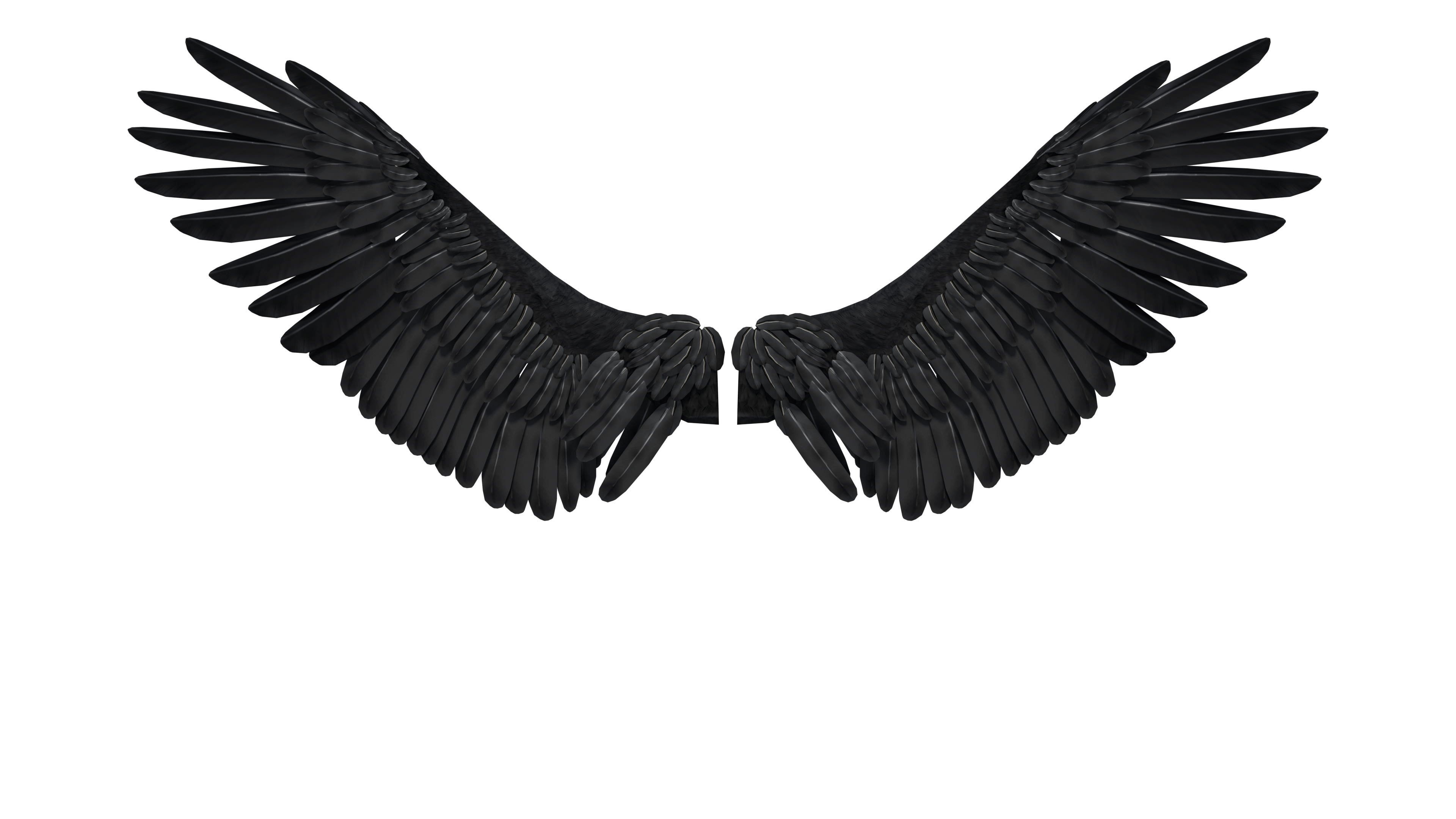 Black Feathered Wings Spread Wide