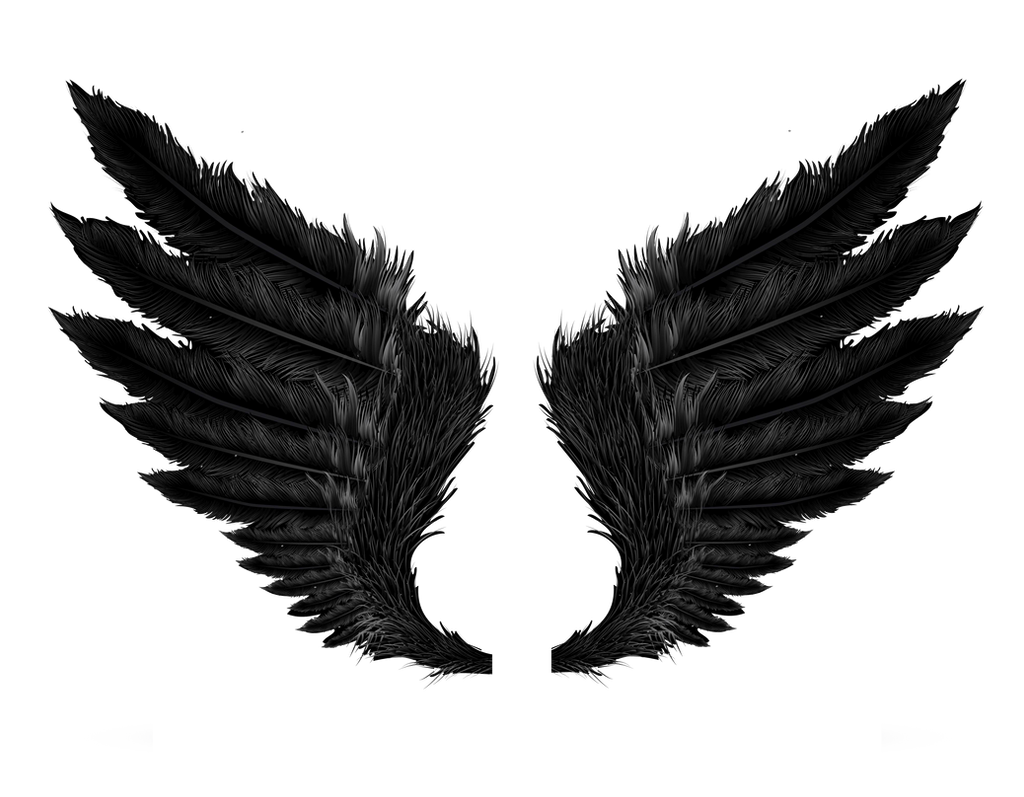 Black Feathered Angel Wings Pair, Spread Wide