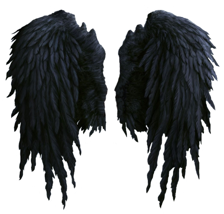 Black Feathered Dark Angel Wings Pair