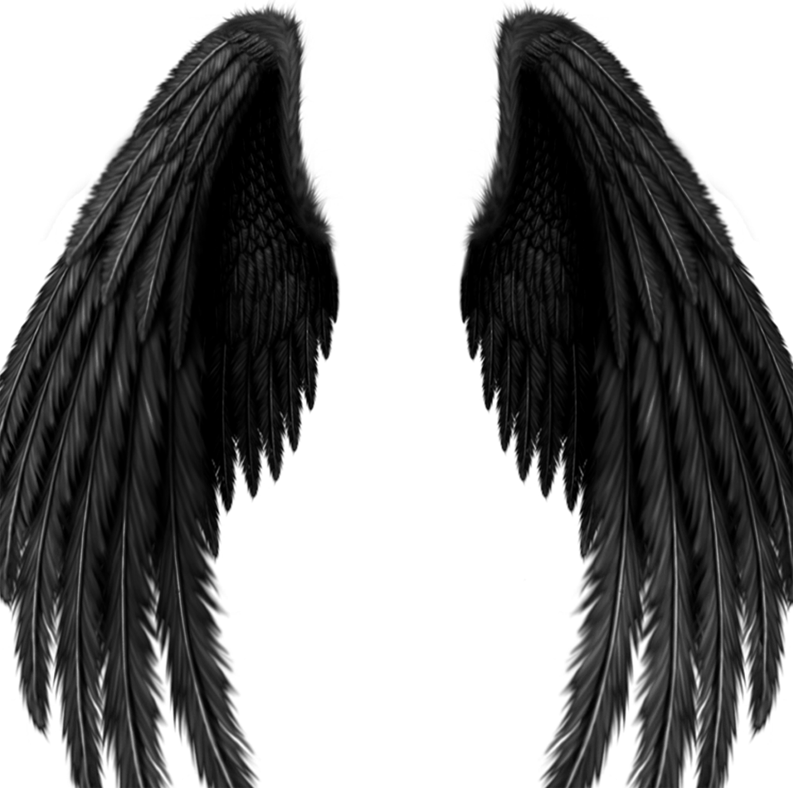 Black Feathered Angel Wings Pair