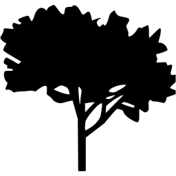 Solid Black Tree Silhouette with Leafy Crown