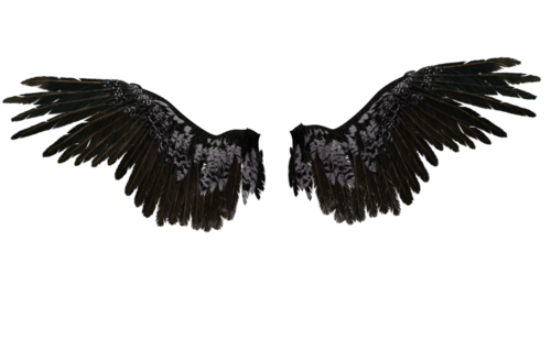 Black Feathered Angel Wings Pair
