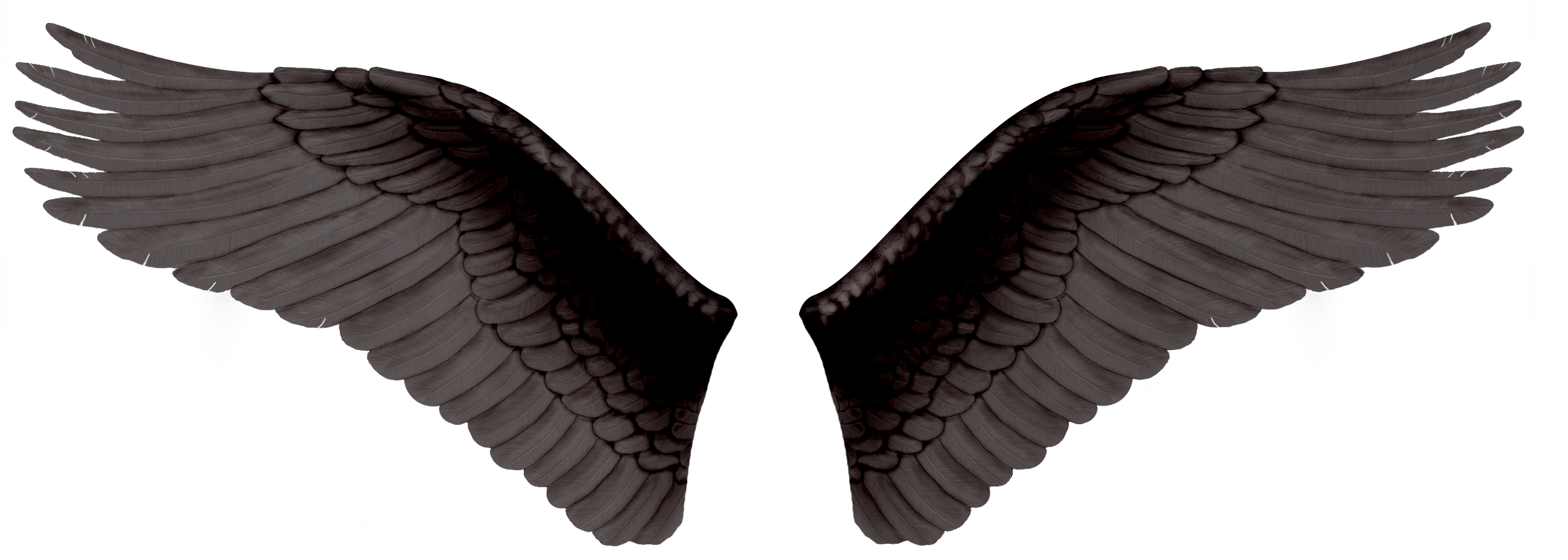 Black Feathered Angel Wings Spread Pair