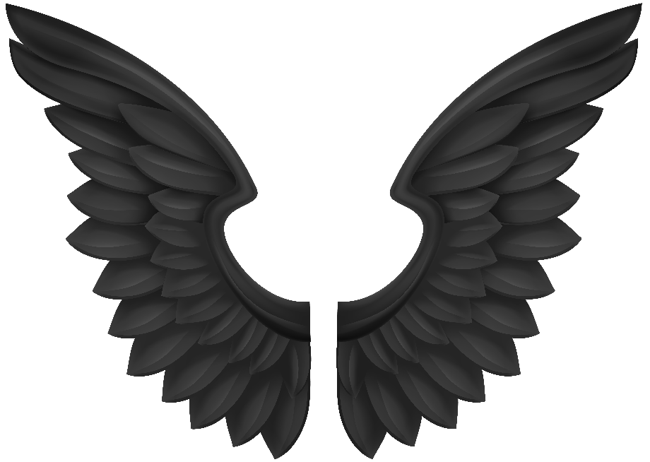 Black Feathered Wings Pair Illustration