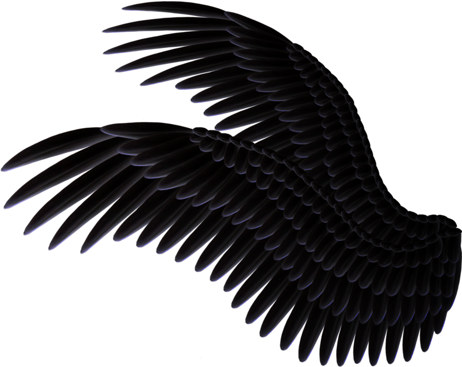 Black Feathered Wings Overlapping Glossy Detail