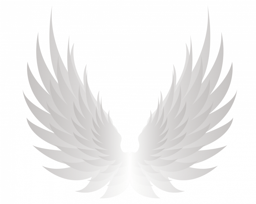 Silver Feathered Angel Wings Pair